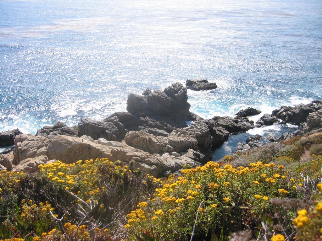 2004/06 June/Monterey Big Sur/1024x768_IMG_0885.JPG